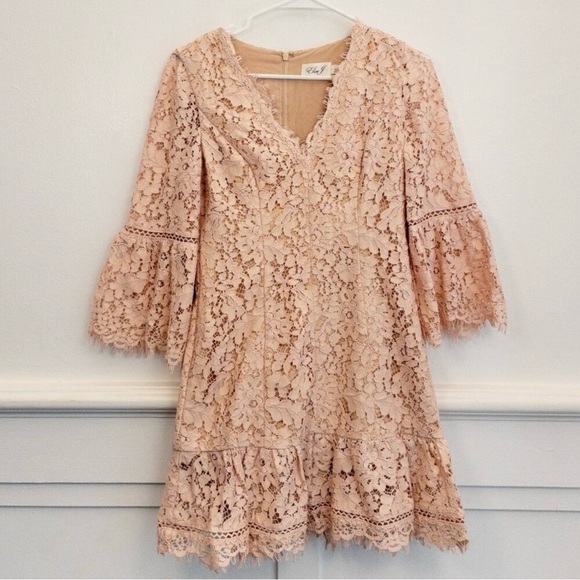 Eliza J Pink Lace Bell Sleeve Dress – Size 4P Petite Fit & Flare Wedding Guest - Picture 5 of 5